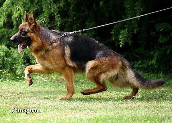 Publication : Vom Eldoradhaus Auteur : S. Schmitt - vom Eldoradhaus