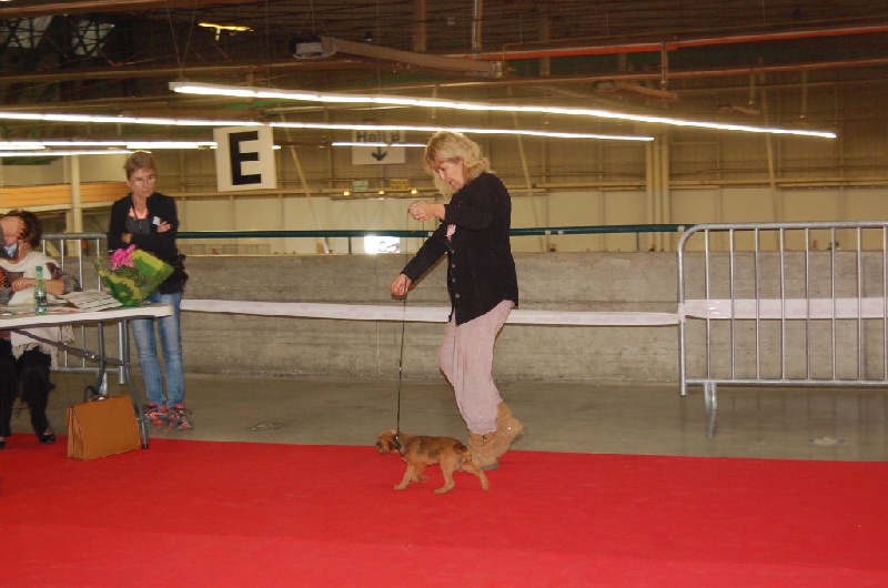 Léon Des doux angelots - TRES PROMETTEUR MEILLEUR BABY