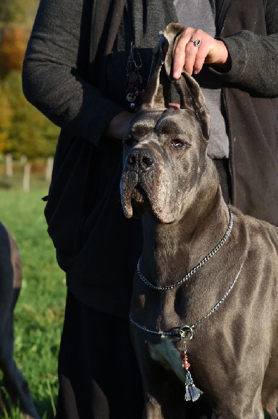Madame bovary Vom hause wagner