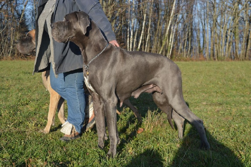 Madame bovary Vom hause wagner