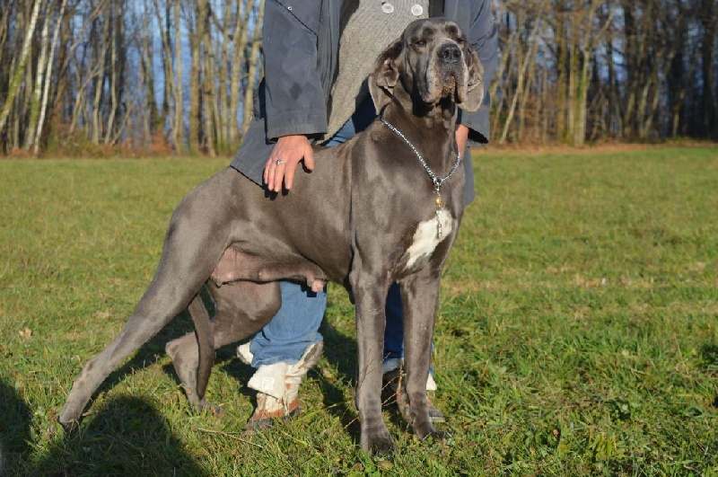 Madame bovary Vom hause wagner