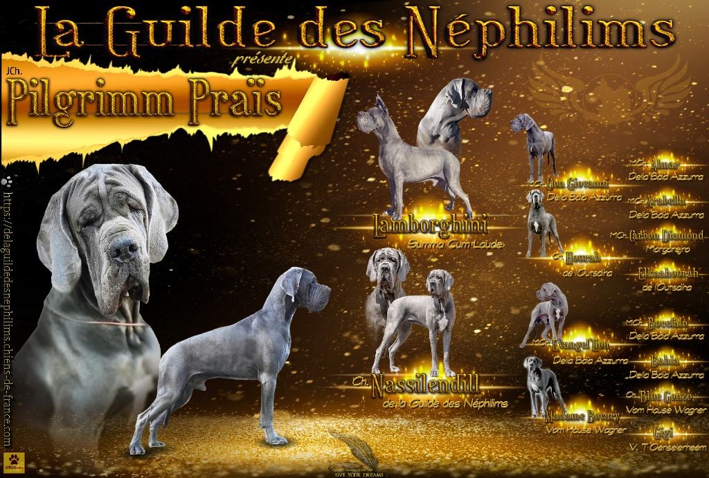 Publication : De La Guilde Des Néphilims  Auteur : celine design