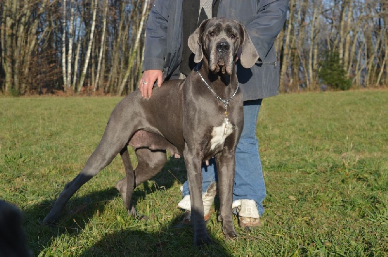 Madame bovary Vom hause wagner