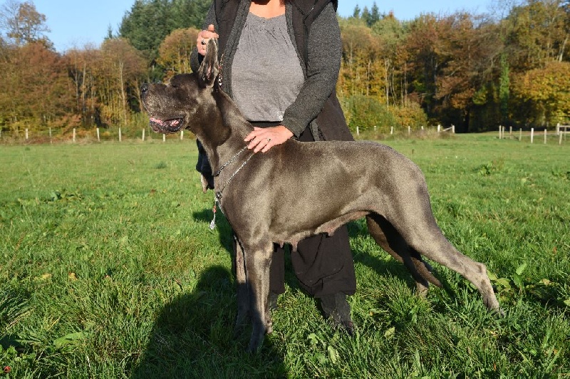 Madame bovary Vom hause wagner