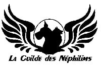 De La Guilde Des Néphilims