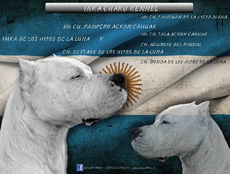 Publication : Inka Chaku Auteur : INKA CHAKU KENNEL