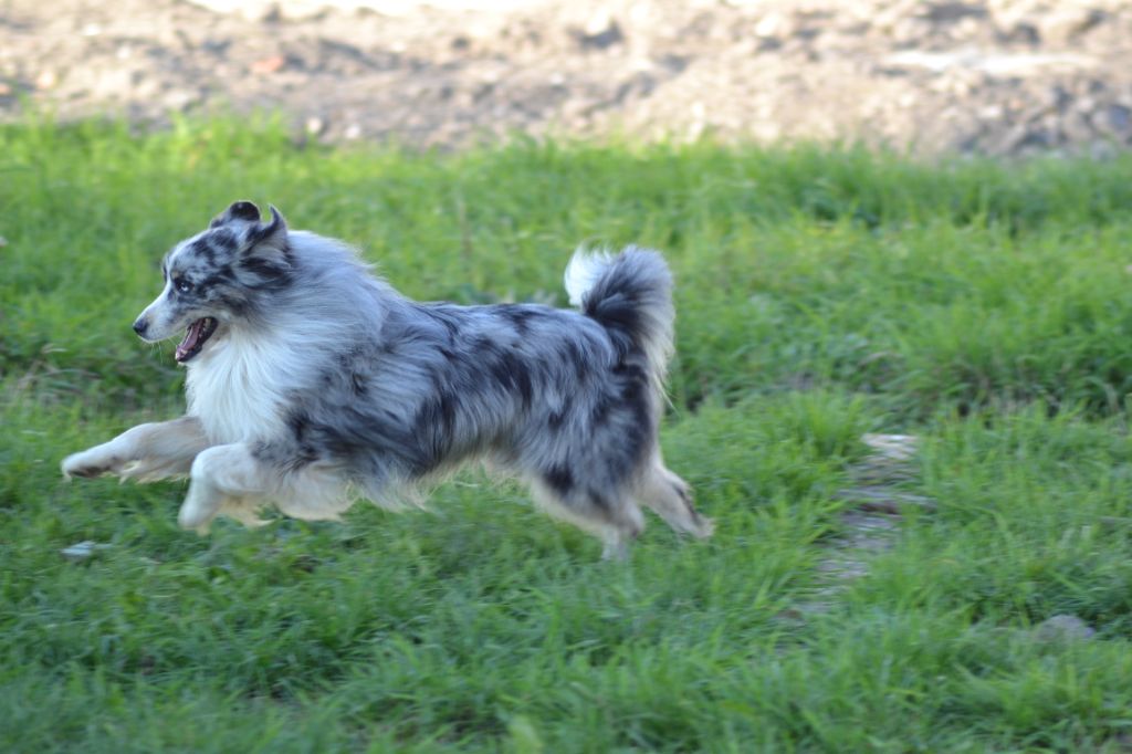 Twerk de l'Angelarde