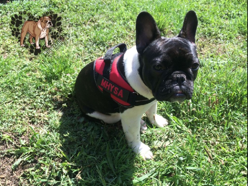 La mhysa De La Romance Des Archanges