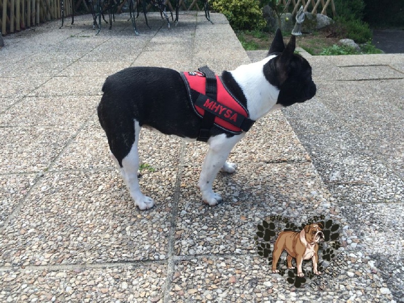 La mhysa De La Romance Des Archanges