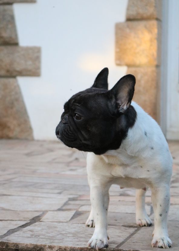 La mhysa De La Romance Des Archanges