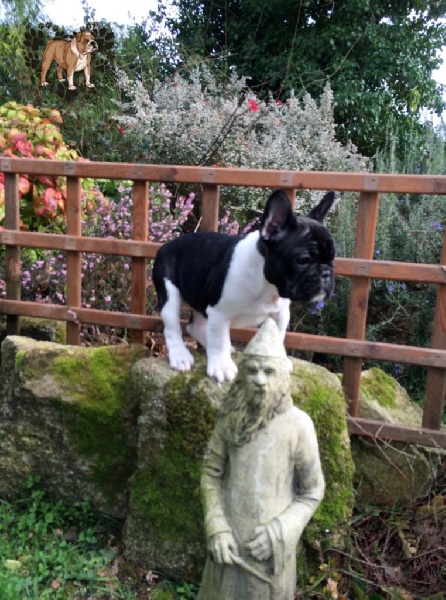 La mhysa De La Romance Des Archanges