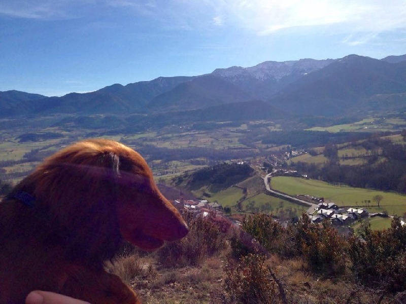 Cologne Red Dogs D'artagnan