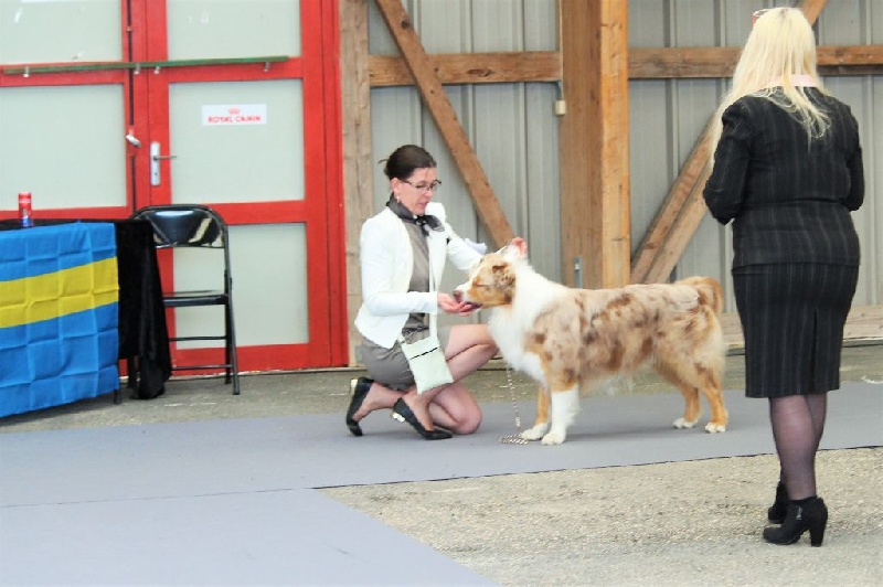 Faïko rm bebop of Looping's New World - TB