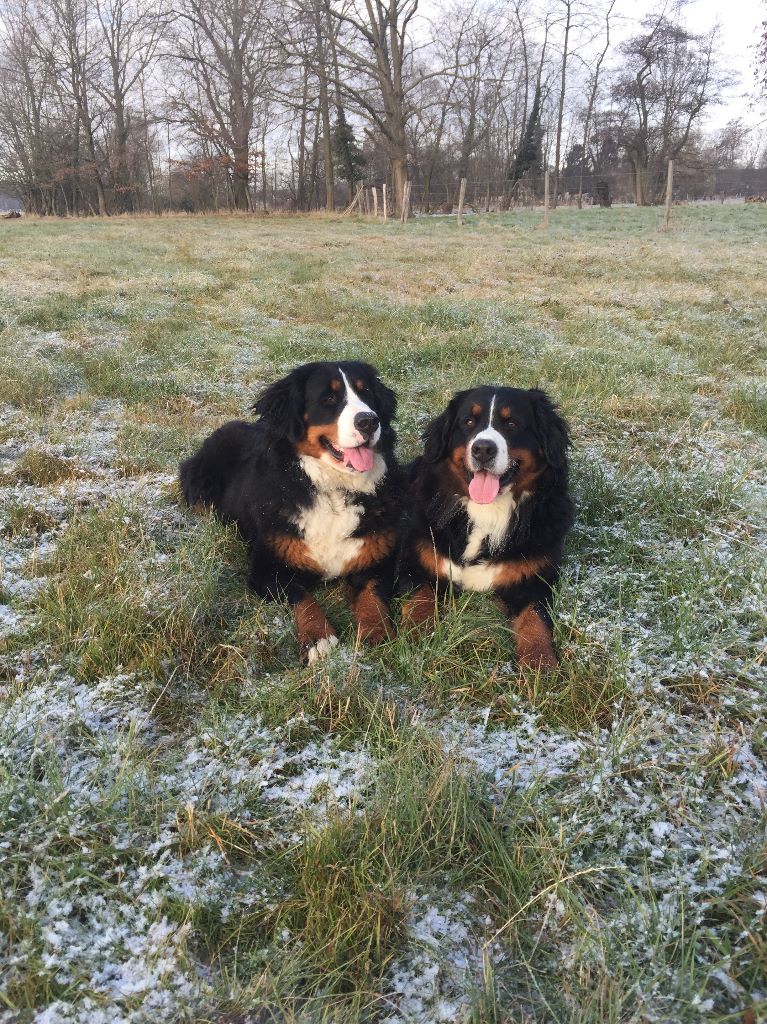Publication : De La Ferme Du Kleinfeld