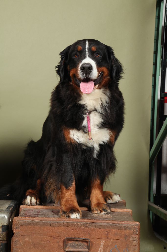 Publication : De La Ferme Du Kleinfeld