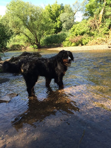 Publication : De La Ferme Du Kleinfeld