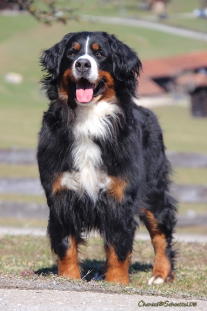 Publication : De La Ferme Du Kleinfeld