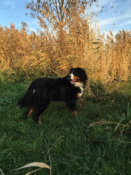 Publication : De La Ferme Du Kleinfeld