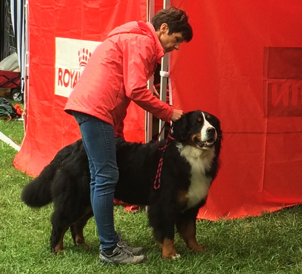 Iana De La Ferme Mittelfeld - Seht Gut