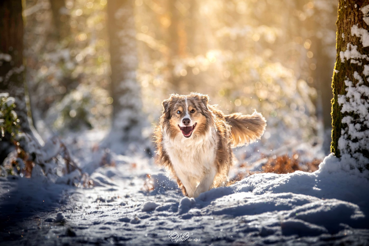 Publication : Des Reves d'Akuna