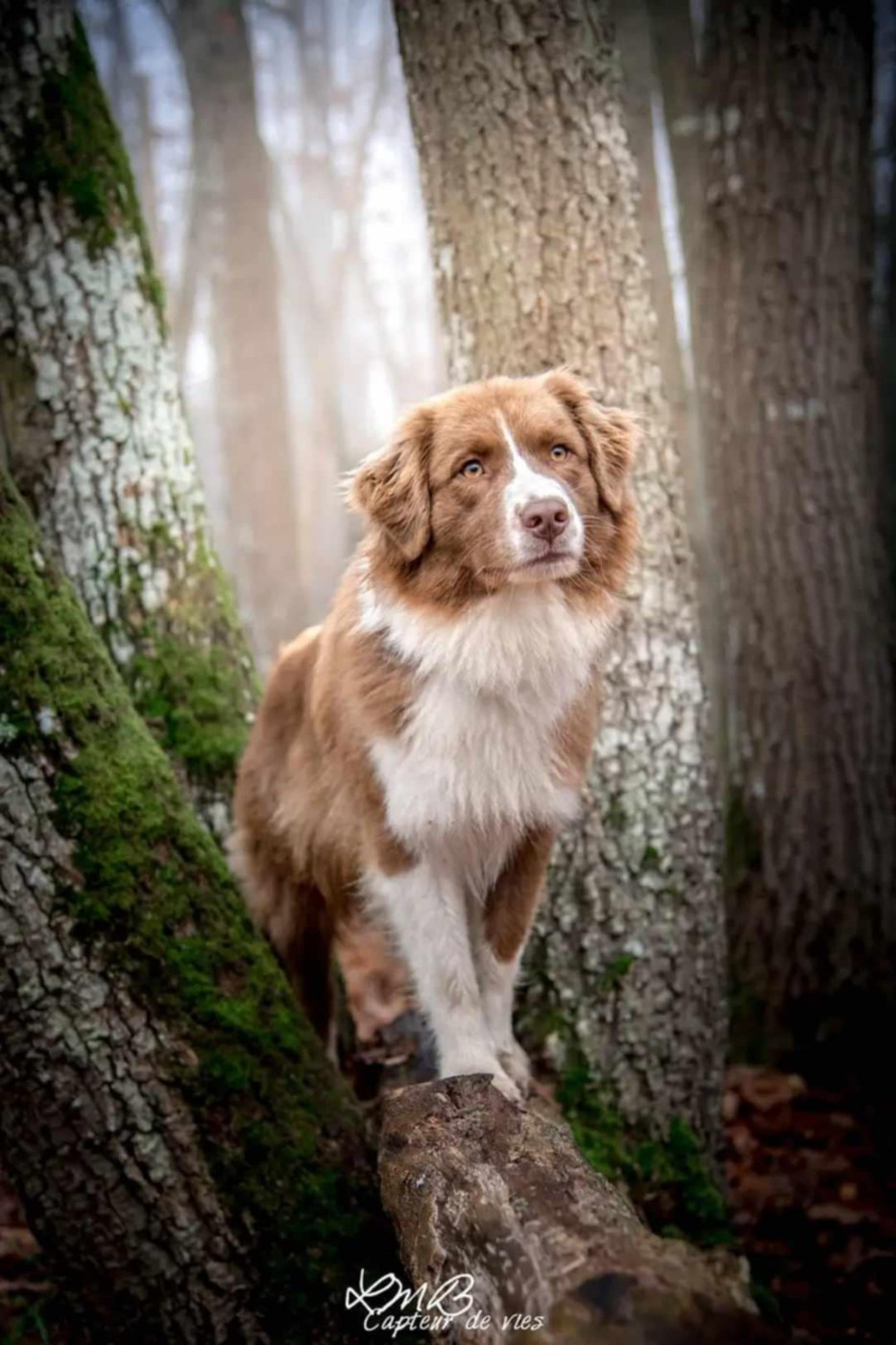 Oana Des Reves d'Akuna