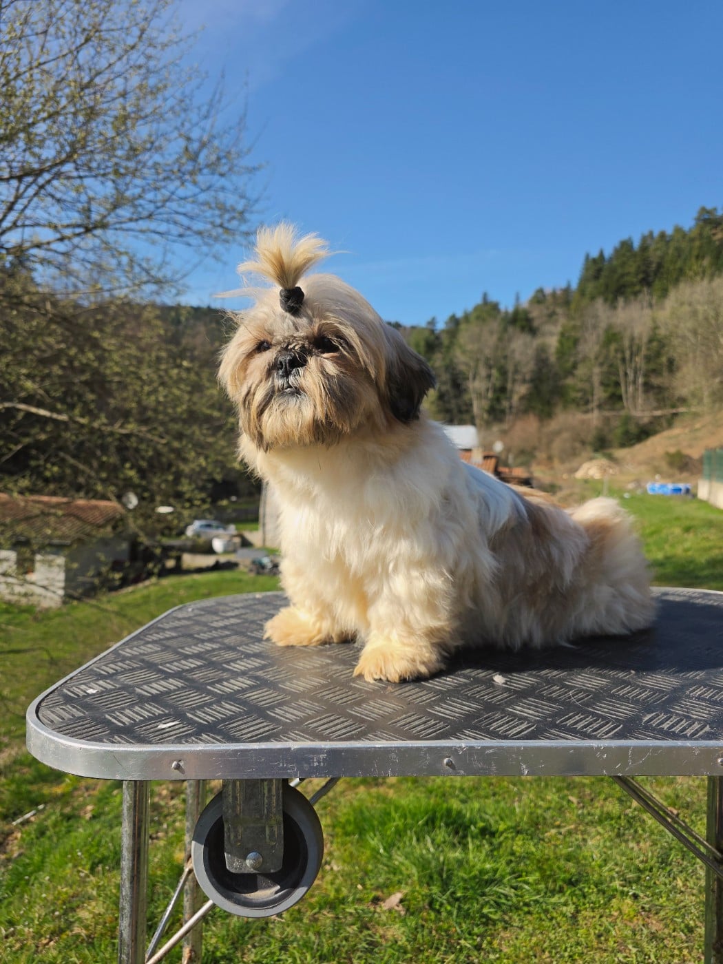 Publication : du Moulin de Bonneval