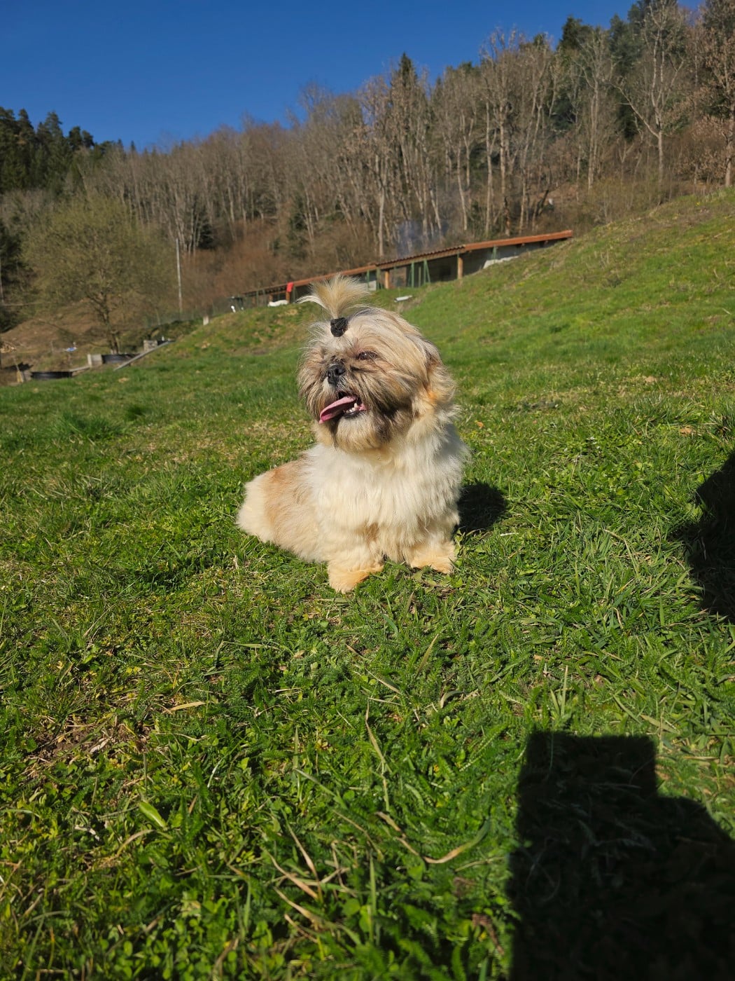 Publication : du Moulin de Bonneval