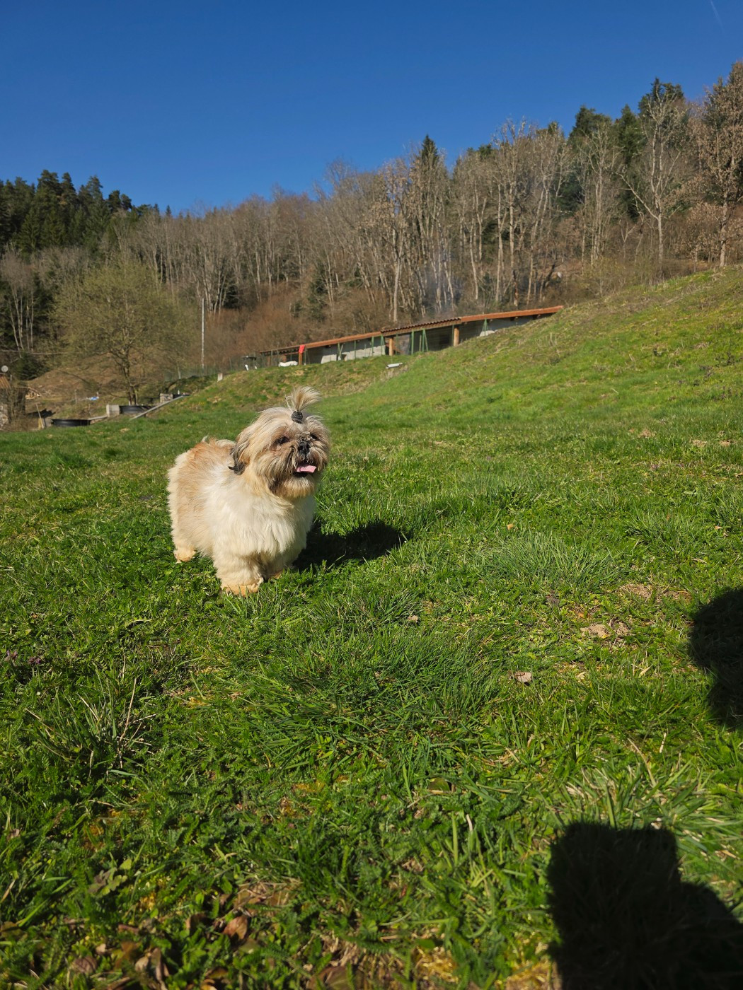 Publication : du Moulin de Bonneval