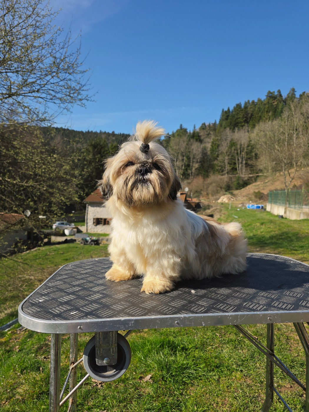 Publication : du Moulin de Bonneval