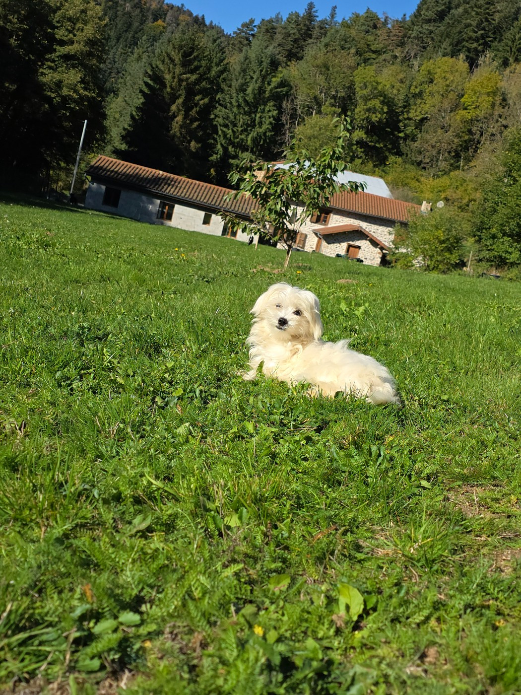 A sweety girl du Moulin de Bonneval