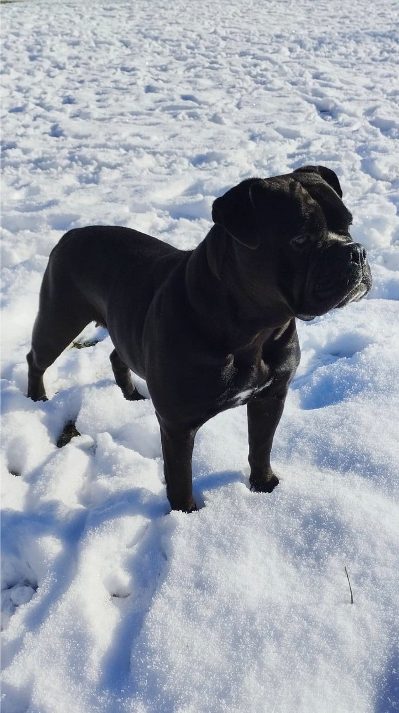 Tara Des Dieux De L'arène