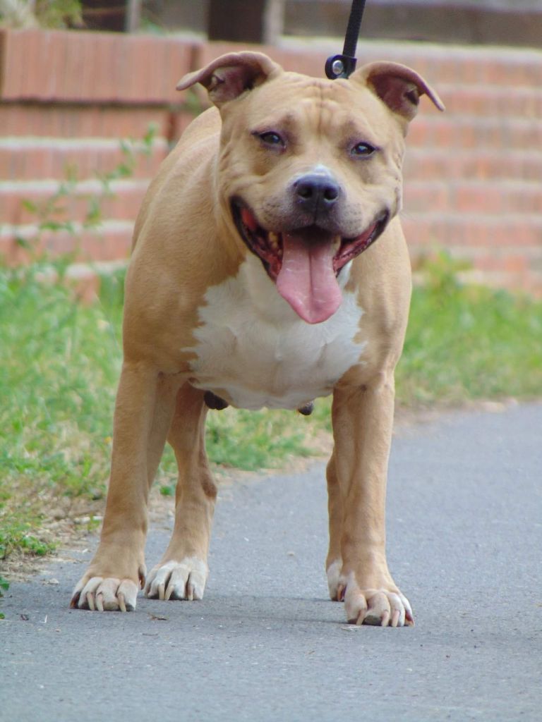 Publication : Deamon Style