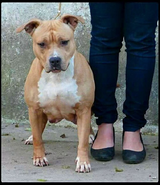 Publication : Deamon Style