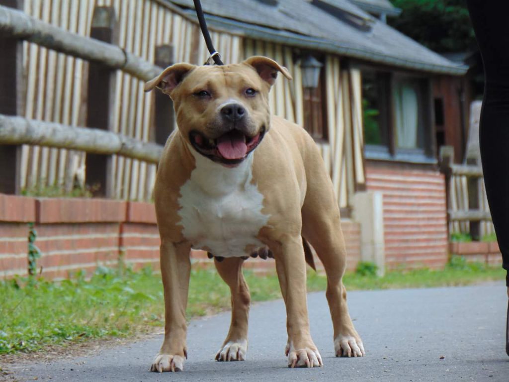 Publication : Deamon Style