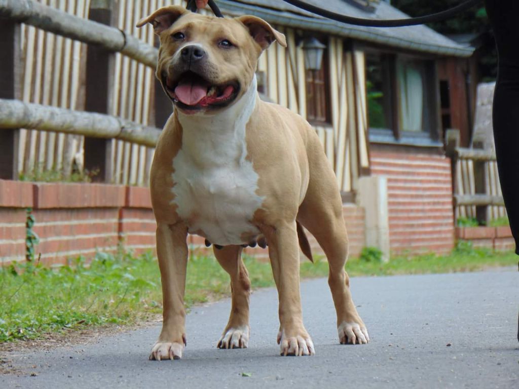 Publication : Deamon Style