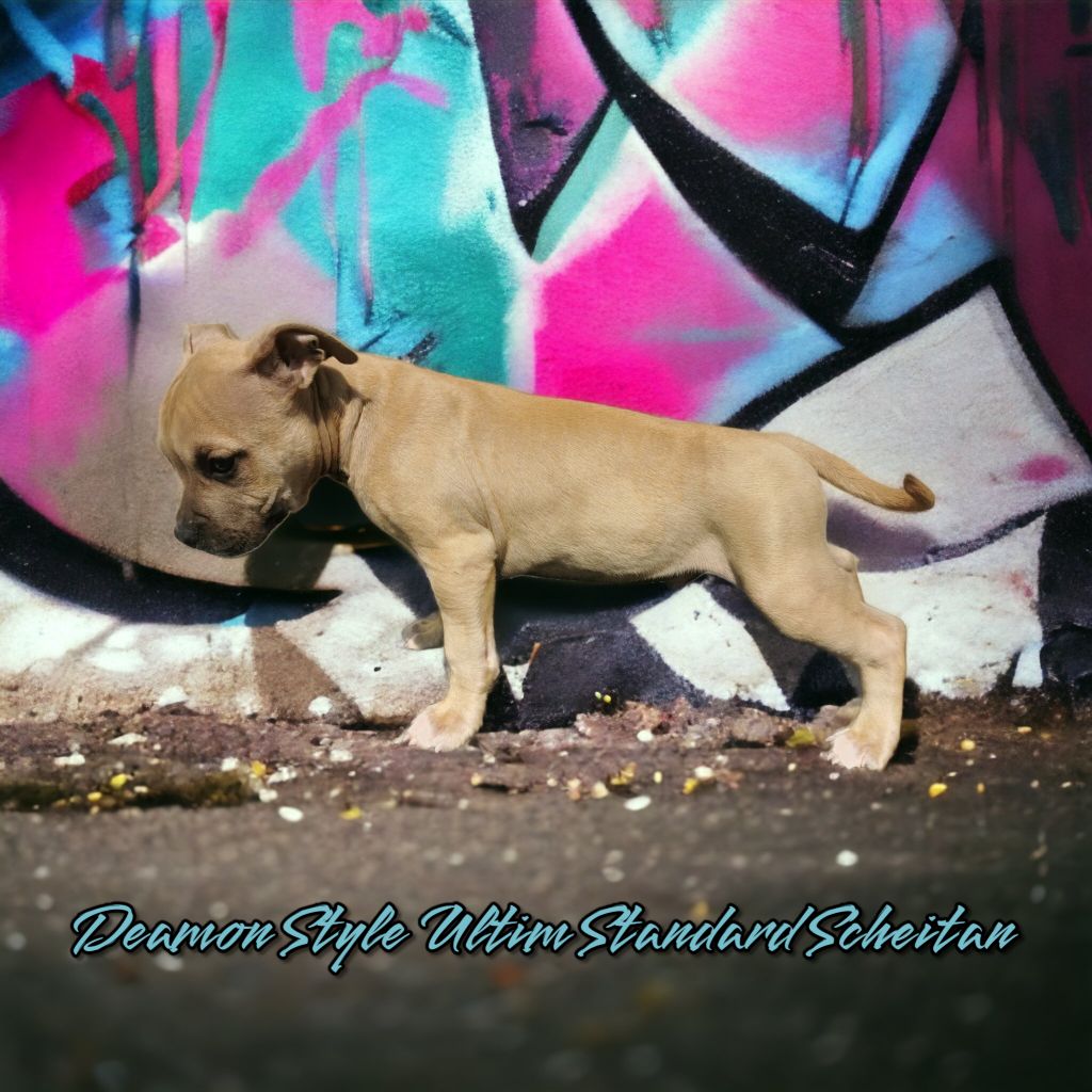 Ultim' Standard Scheitan