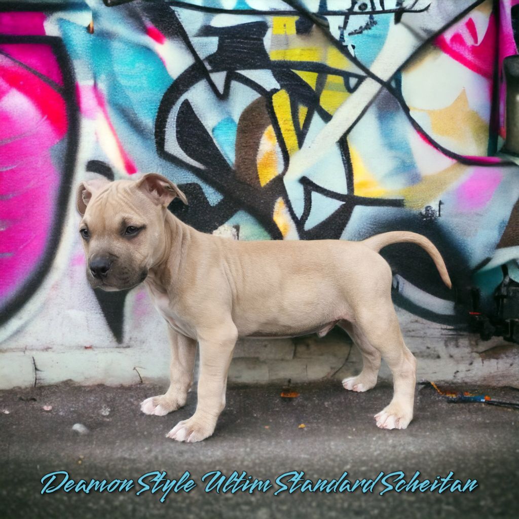 Ultim' Standard Scheitan