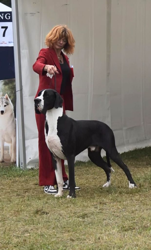 Ubiwan Du Haut Dagour