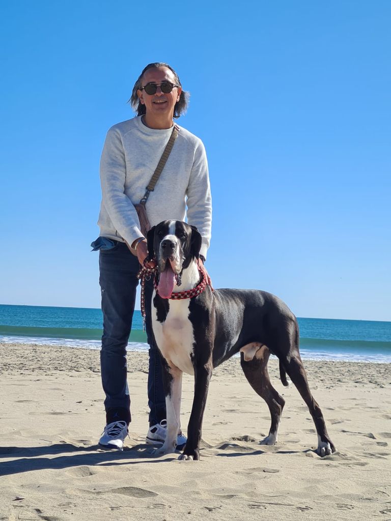 Ubiwan Du Haut Dagour