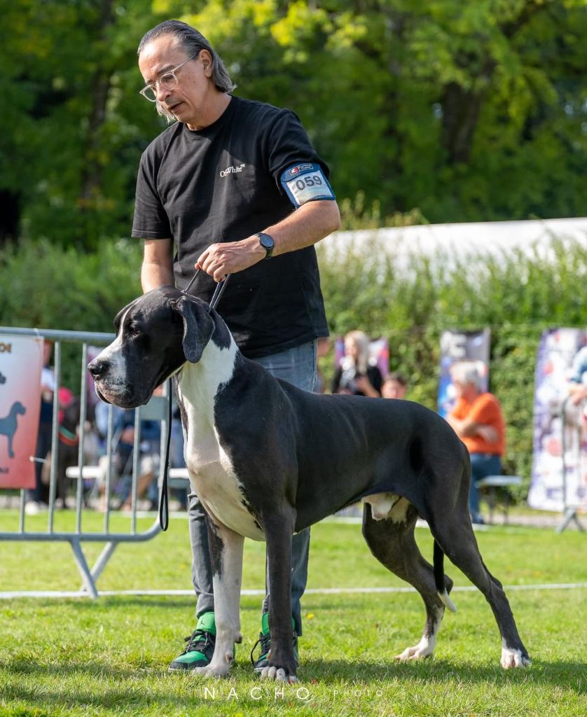 Ubiwan Du Haut Dagour