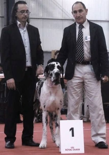 Iyoko du Cerbere d'Eyjeaux - Classe Intermediaire => 1 er Excel CACS et RCACIB