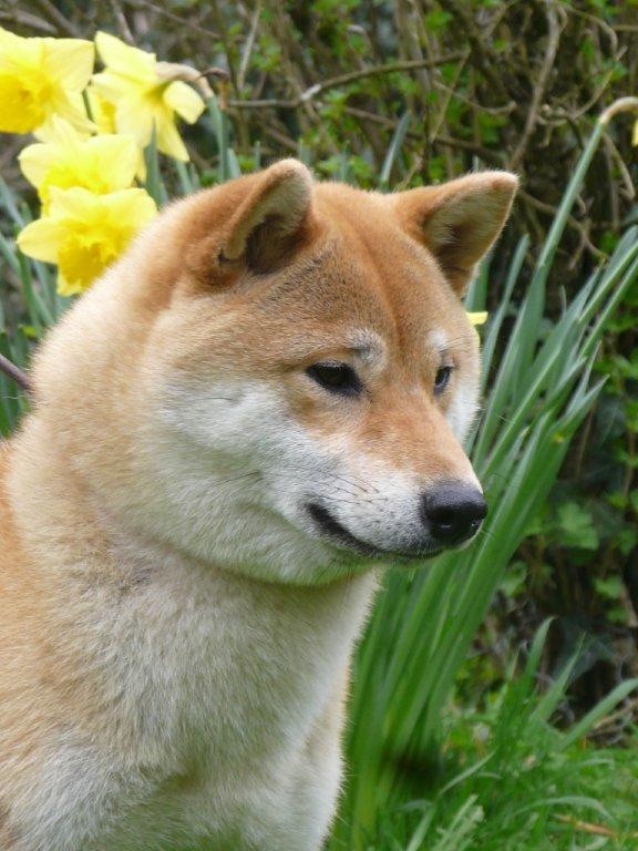 branock Loca loca loca