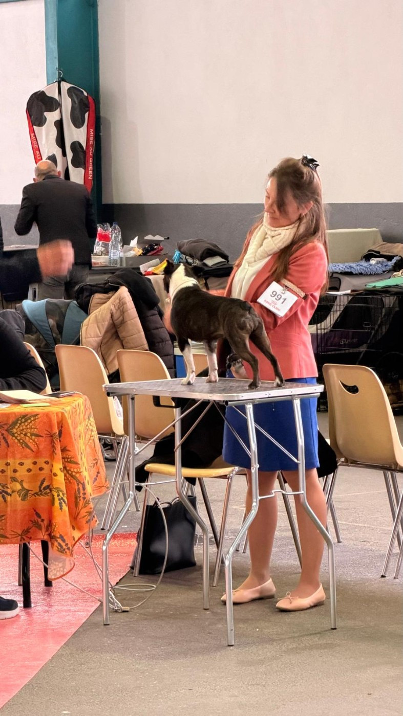 Scarlet overkill De L'esprit Du Chien - 3ème Excellent