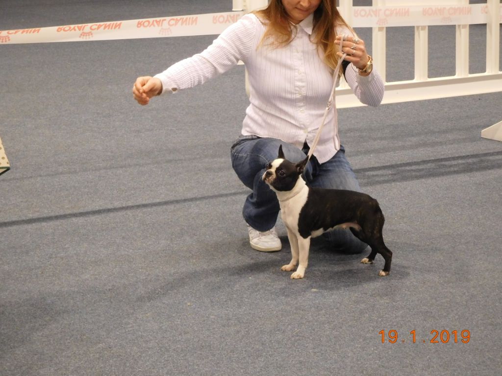 I am in love cuore nero della lazaricca - 2ème Excellent