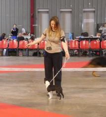 I am in love cuore nero della lazaricca - Très Prometteur