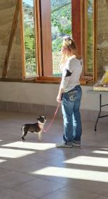 I am in love cuore nero della lazaricca - EXCELLENT