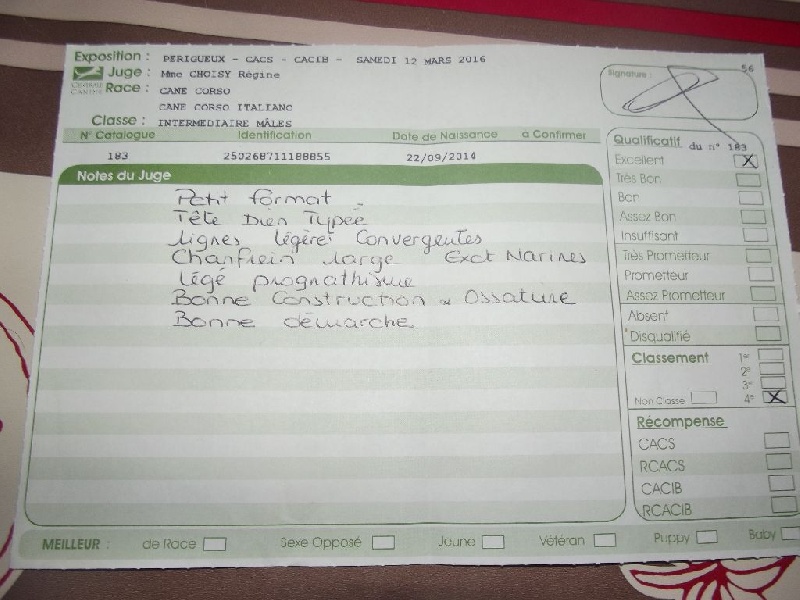 Jox (Sans Affixe) - 4e excellent classe intermediaire