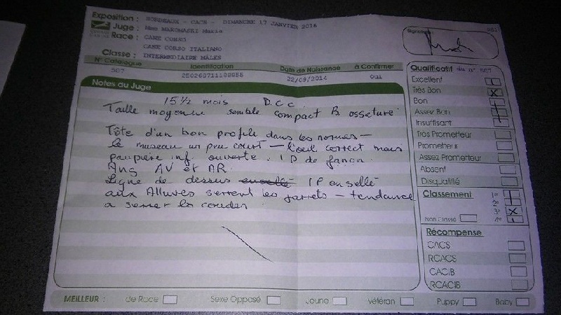 Jox (Sans Affixe) - 3e très bon classe intermédiaire