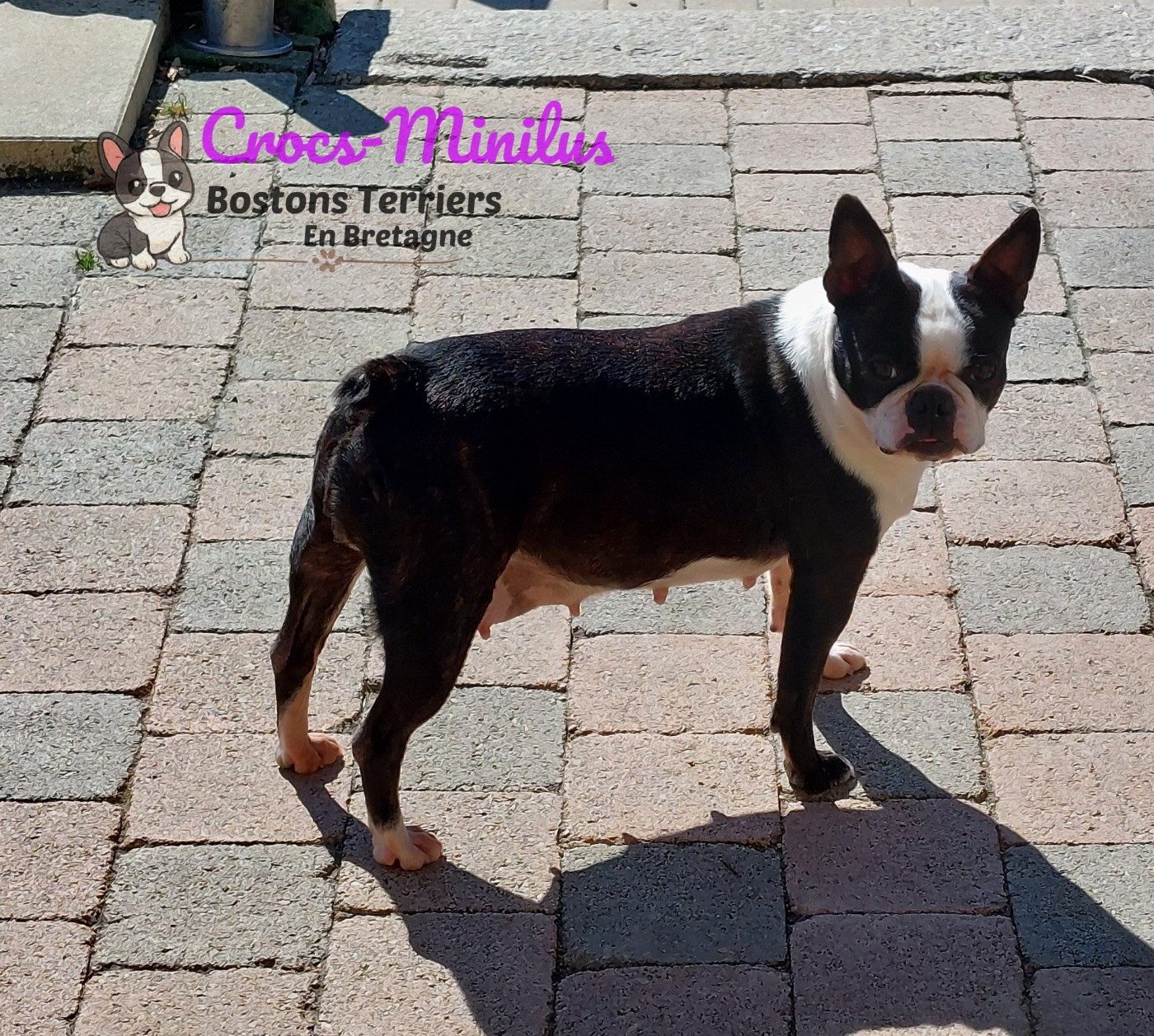 Ruedesetoiles vom norden haus