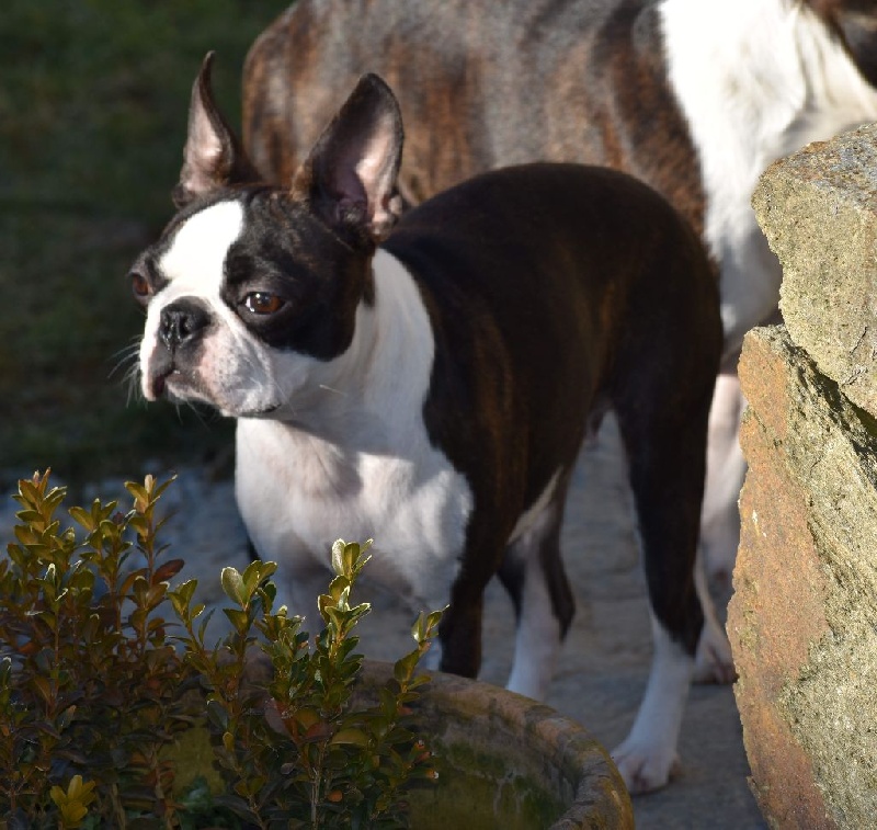 Publication : de Crocs Minilus Auteur : AC